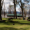 Lake Nakuru